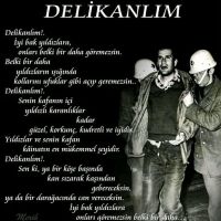 NuRGüL
